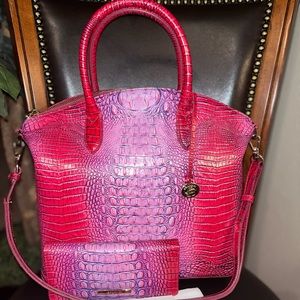 Brahmin Lg Duxbury Jazzy Nova & Wallet